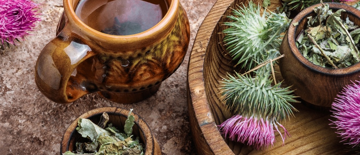 bi-milk-thistle-from-liver-support-to-metabolic-balance-1240x562.jpg