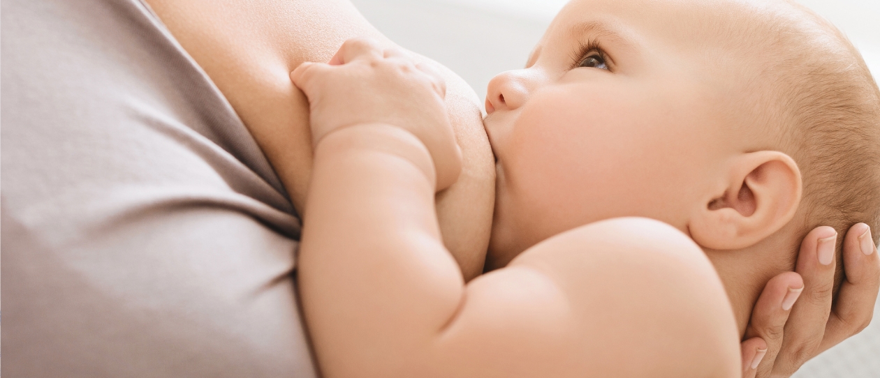 bi-supporting-lactation-with-fenugreek-1240x562.jpg