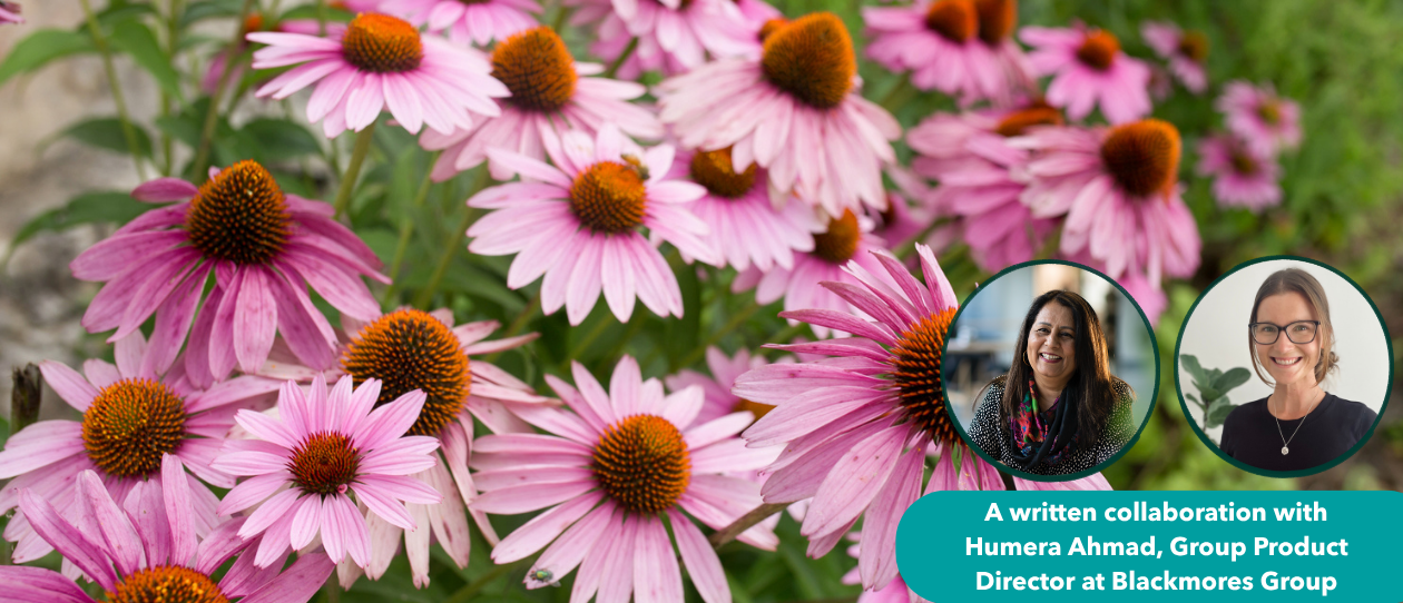 Echinacea_Hero.png