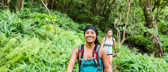 Forest-bathing_WebMain_1260x542.jpg