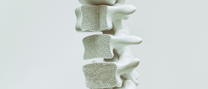 bi_osteoporosis_factsheet.jpg
