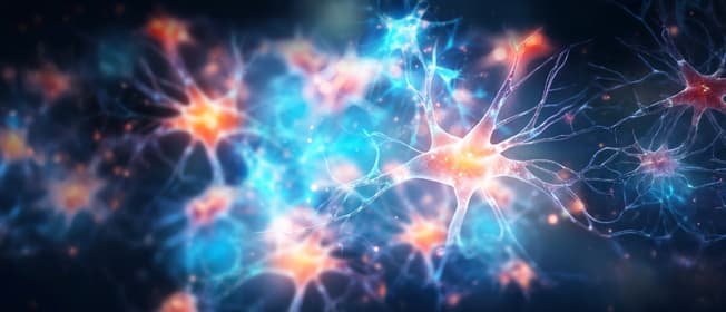 BI-Citicoline-1240x562.jpg