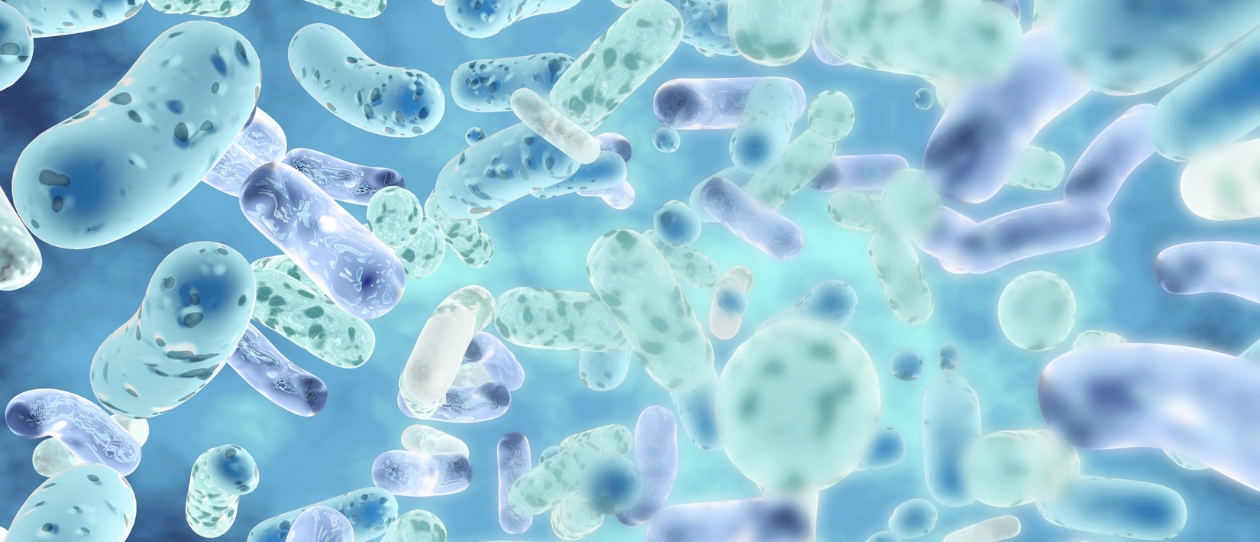binstimage_lab4article_websiteimage_1260x542.jpg