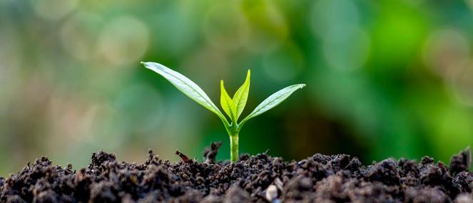 sustainable_nutrition663x285.jpg