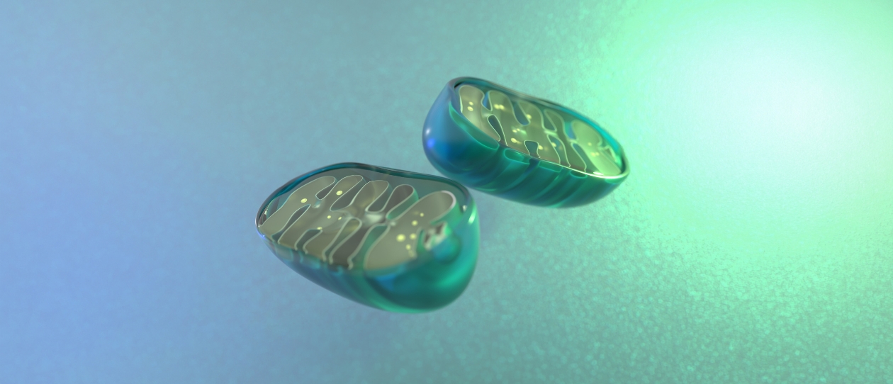 BI-NMN-1240x562.jpg