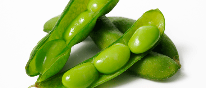 soy-complementary-medicine-ingredient-blackmores-institute-663x285.gif