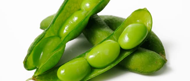 soy-complementary-medicine-ingredient-blackmores-institute-663x285.gif