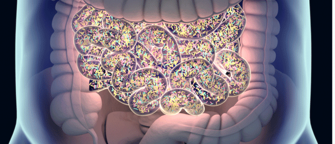 constipation-condition-factsheet-blackmores-institute-663x285.gif