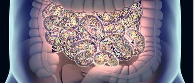 constipation-condition-factsheet-blackmores-institute-663x285.gif