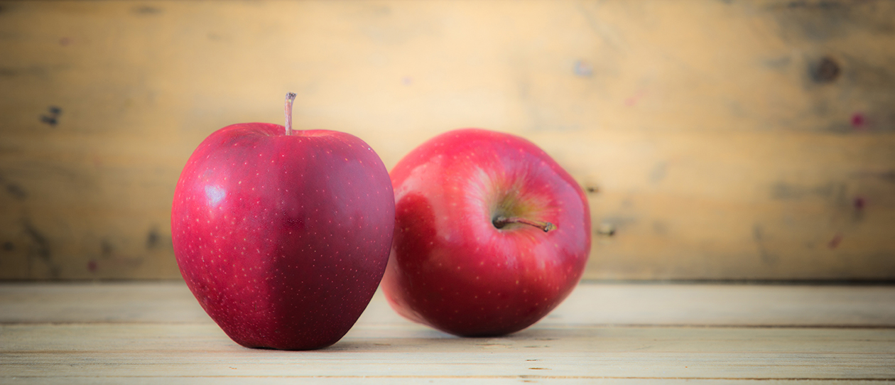 twoapplesaday_1260x542_webmain_.jpg