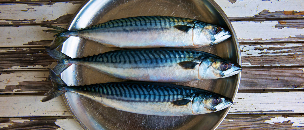 Omega-3-lung-disease_WebMain_1260x542.jpg