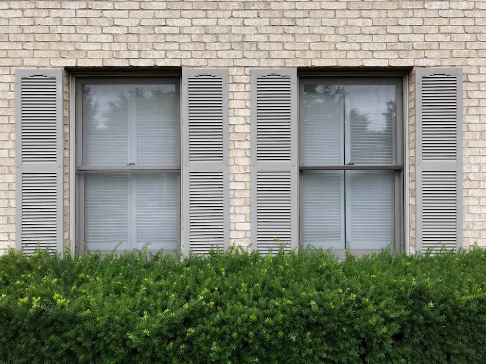 Two double-hung windows with beige shutters on an ivory brick home