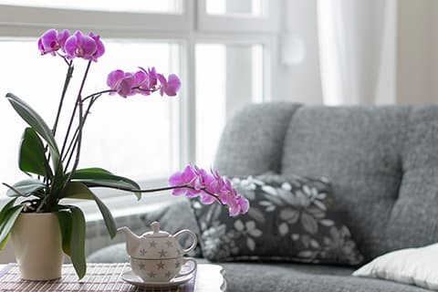 Easy home decor hack - flowers