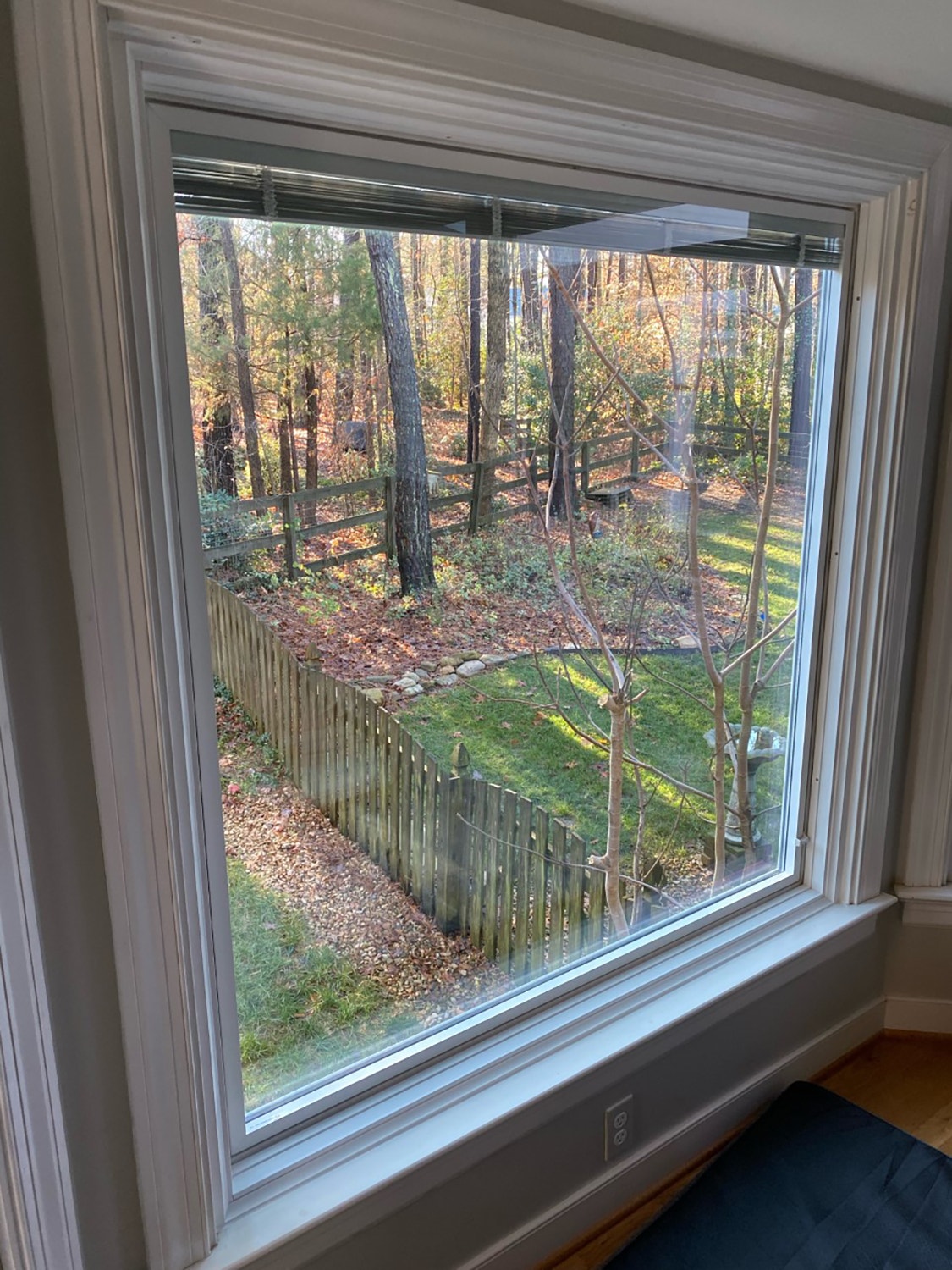 Fixed window overlooks Henrico backyard