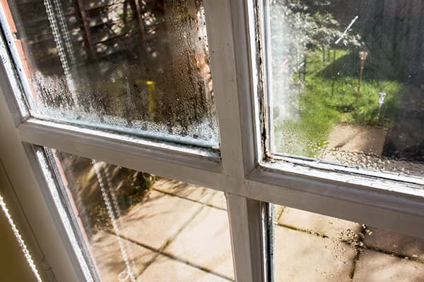 Old windows can date your home