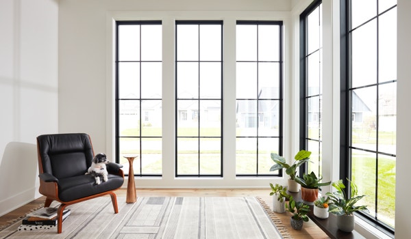 Modern tall wood windows dark frame and white walls in home