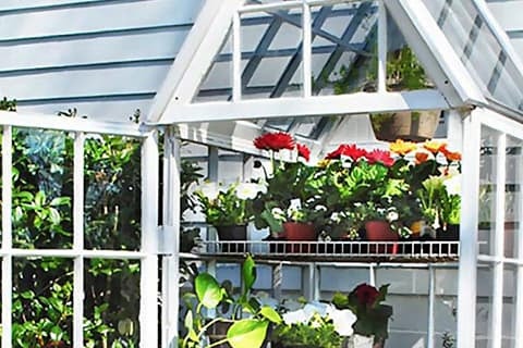 Create a greenhouse from old windows