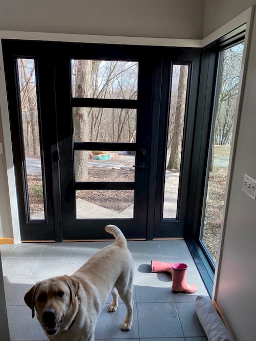 Minnetonka home interior view of black front entry door with yellow lab facing camera