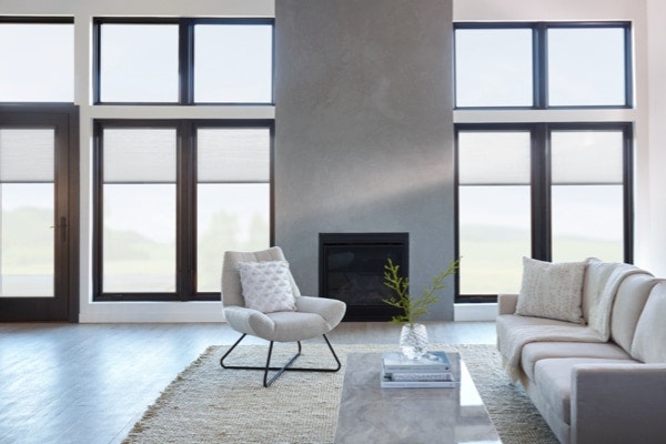 a beautiful room featuring cool neutral tones and several window panels