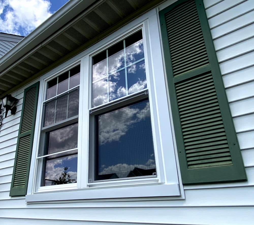 Two side-by-side white double-hung windows framed by green shutters