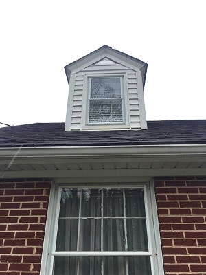 Proline window replacement