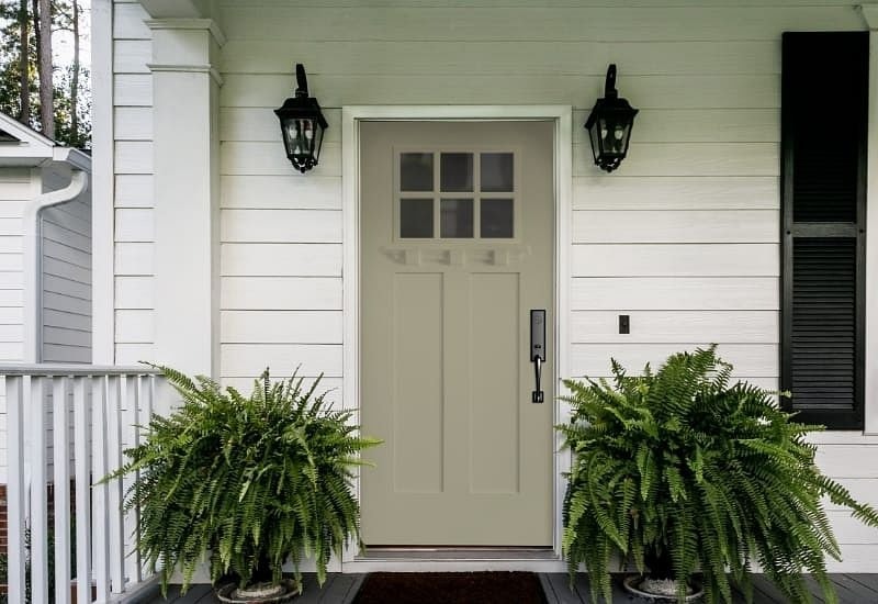 Green front door with plants