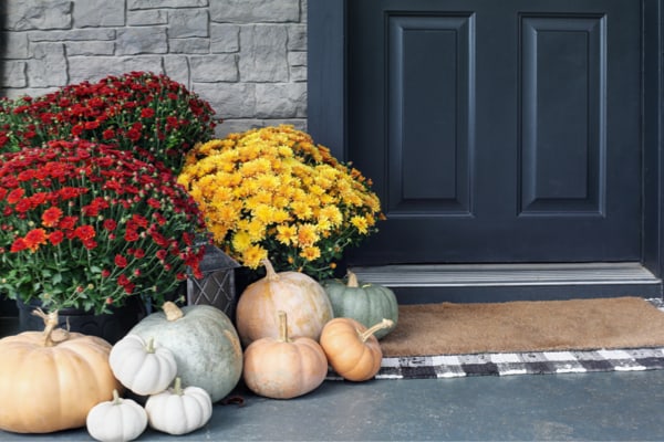 front porch featuring mums and pumpkin as a decor focal point