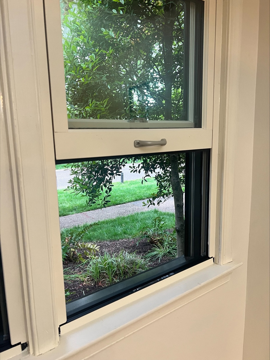 Single-hung window on Williamsburg home