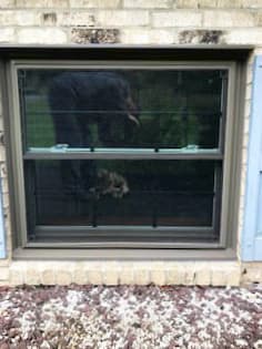 Exterior view of garden-level wood double-hung window with black grilles
