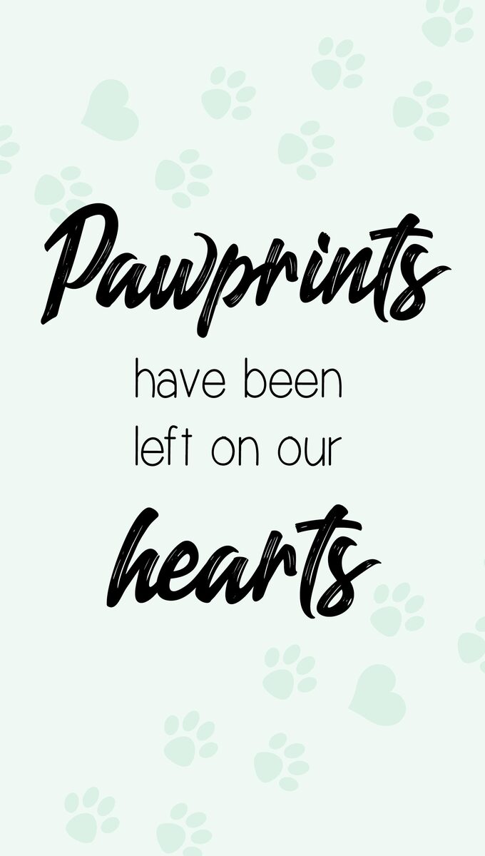 Pawprints Have Been Left On Our Hearts