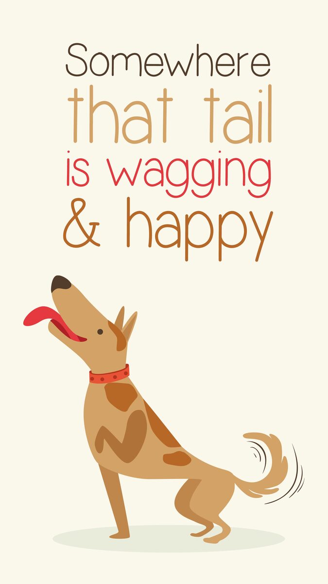 Somewhere That Tail Is Wagging