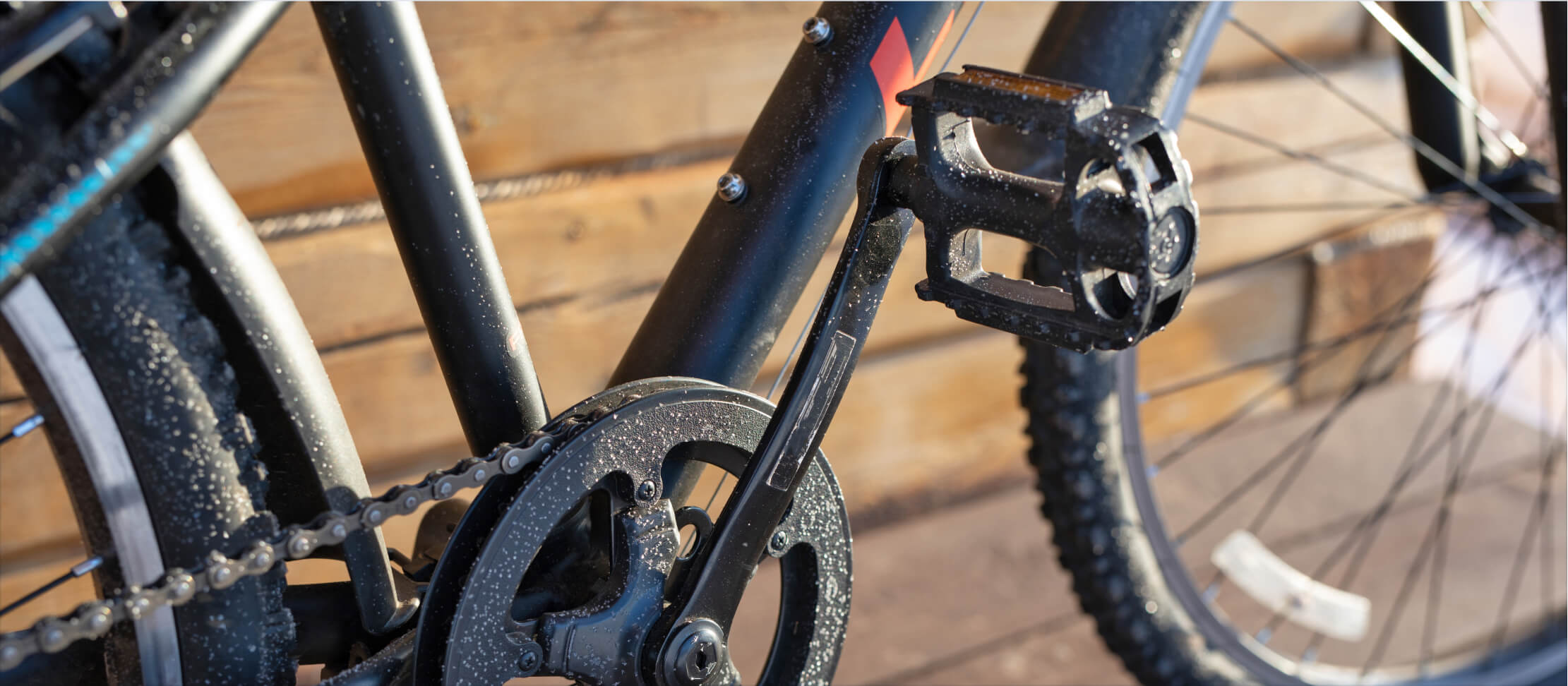 Men’s vs Women’s Bikes What’s the Difference? Academy