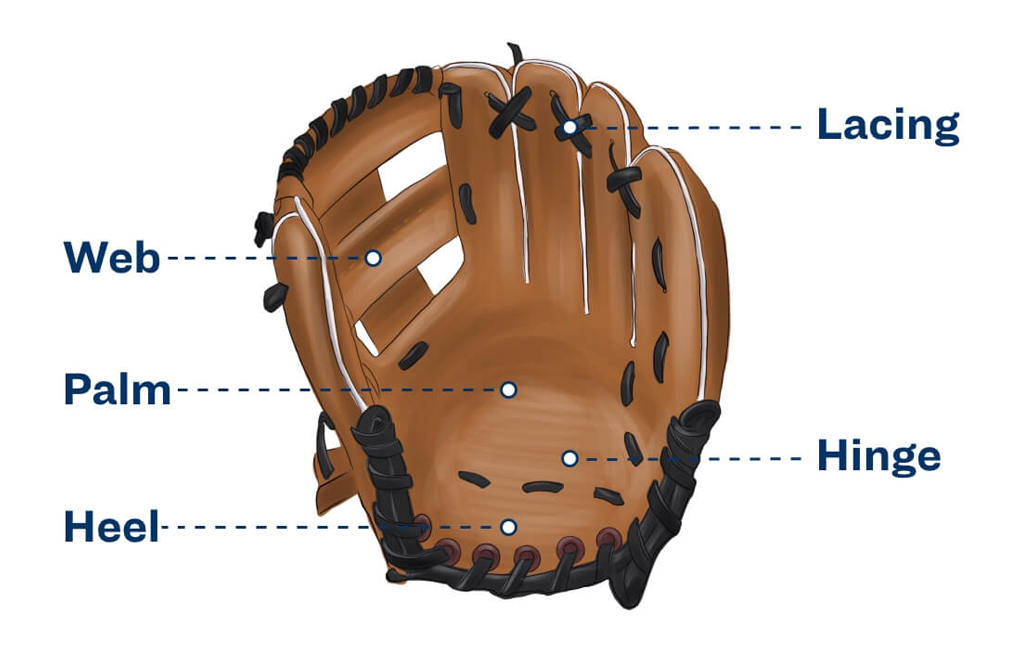 full right baseball glove