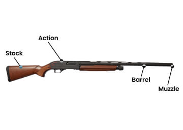 Parts of a Shotgun: A Complete Guide to How It Works | Academy