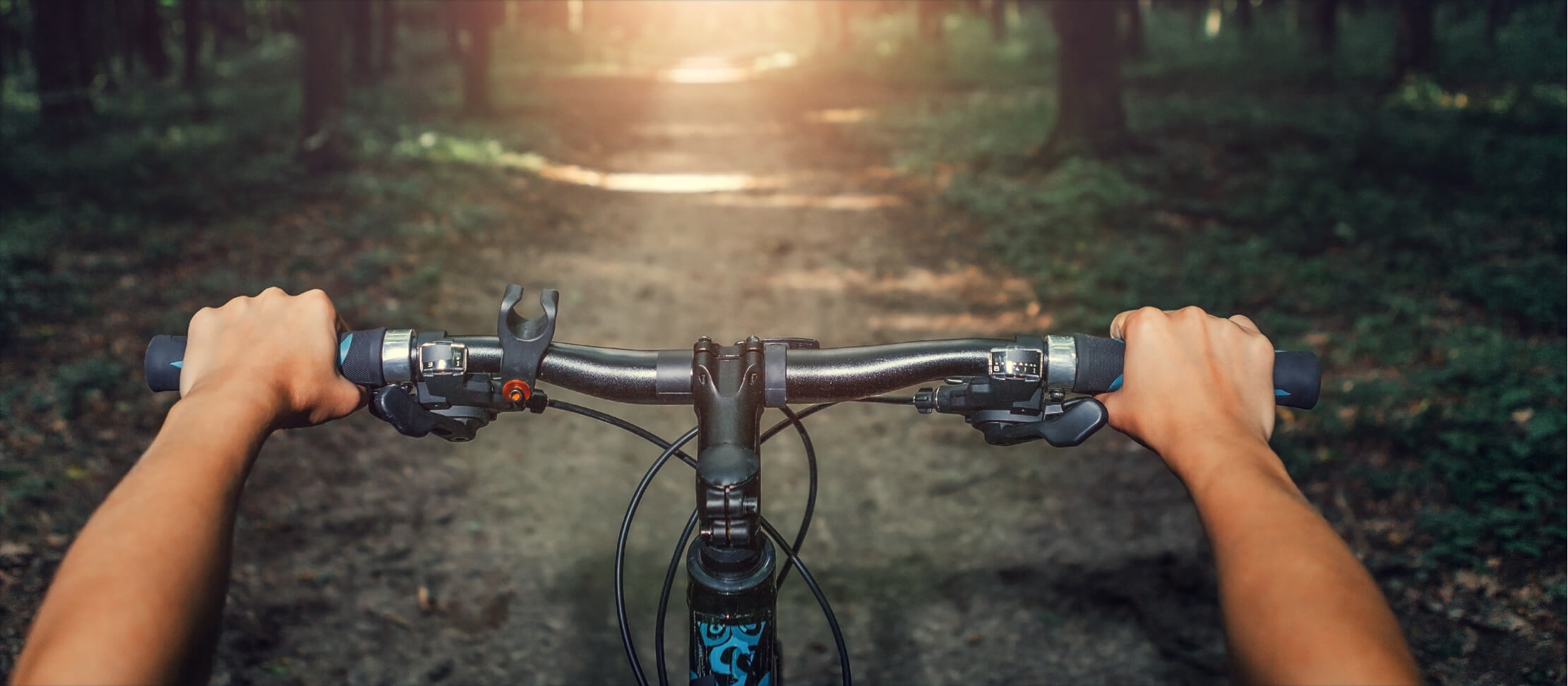 Men’s vs Women’s Bikes What’s the Difference? Academy