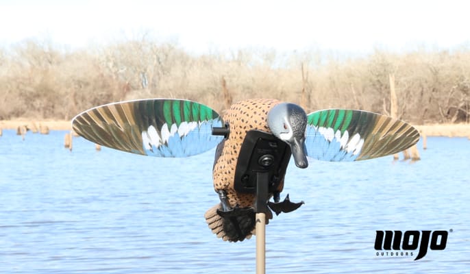 MOJO Outdoors Blue Wing Teal motorized decoy positioned on a stake above water, with MOJO Outdoors logo visible.