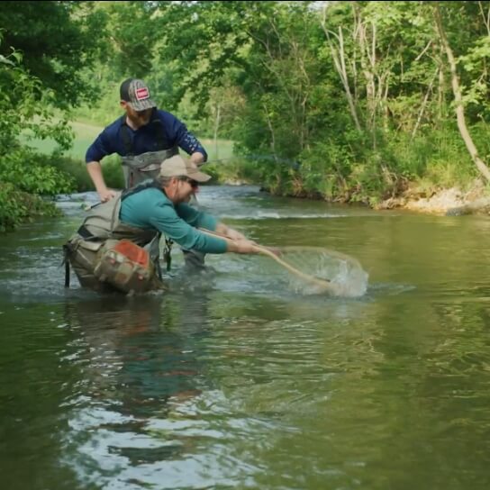 SEC Traditions: Trout Fishing in Georgia