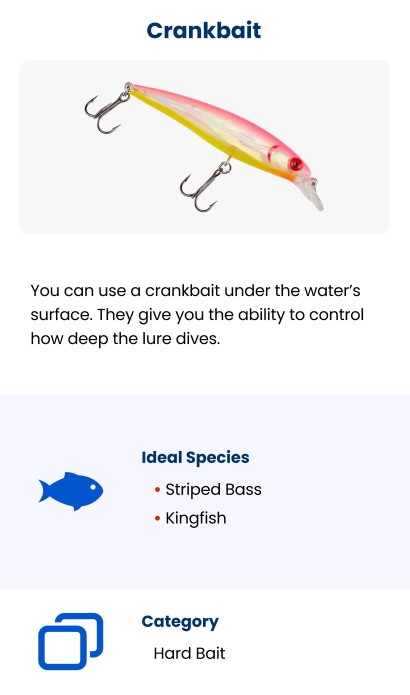 The Best Bait And Lures To Use While Deep Sea Fishing