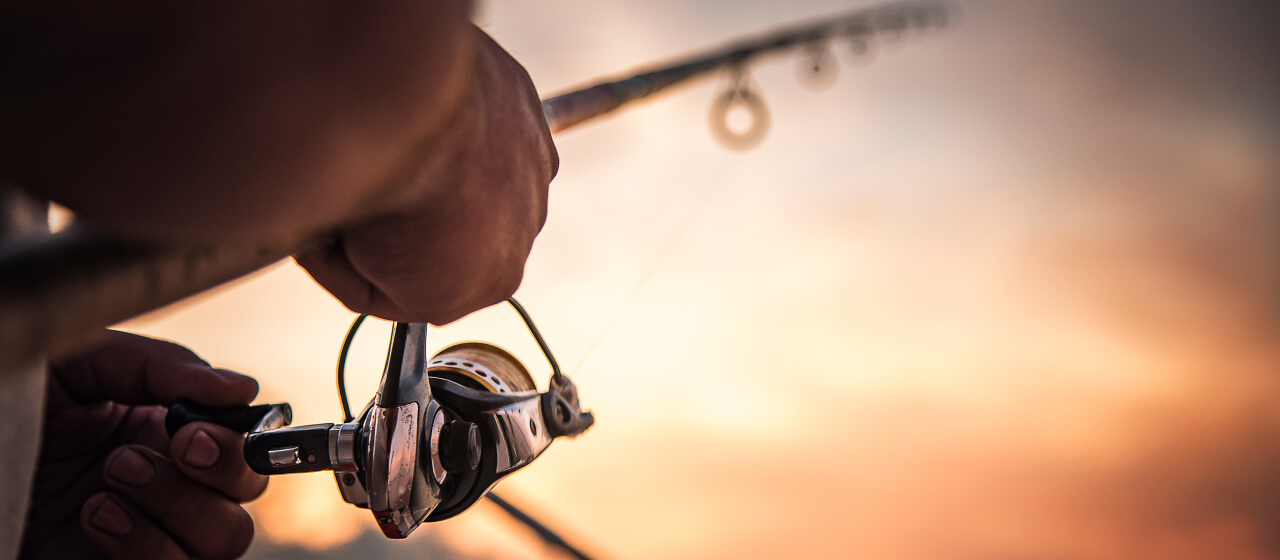 Baitcaster vs Spinning Reels Differences, Pros, & Cons Academy