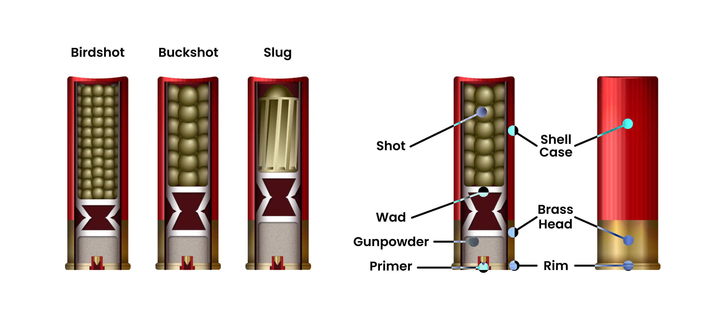 Anatomy of a shotgun shell & overview of the 3 different shot types