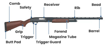 3 Types of Shotguns: Gauges, Barrels, & More | Academy