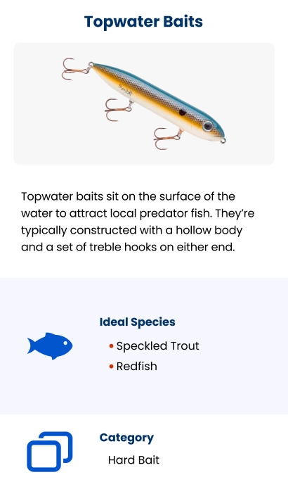 Top Topwater Lures for Inshore Fishing
