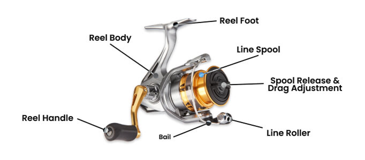 5 Types of Fishing Reels to Catch More Fish | Academy