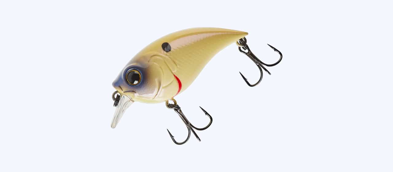 Best Fishing Lures for Kids to catch Bass 