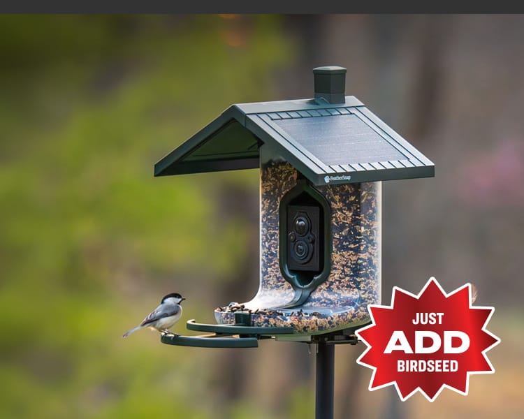 FeatherSnap Scout WiFi smart bird feeder mounted outdoors with a bird perched on the feeding tray. Overlay red badge says “Just Add Birdseed.”