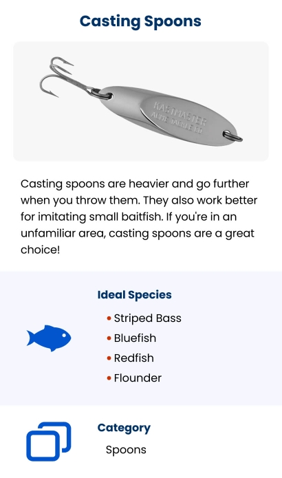 Types of Saltwater Baits – FishVerify