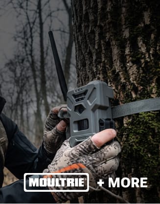 Close-up of a person attaching a Moultrie game camera to a tree in a wooded area.
