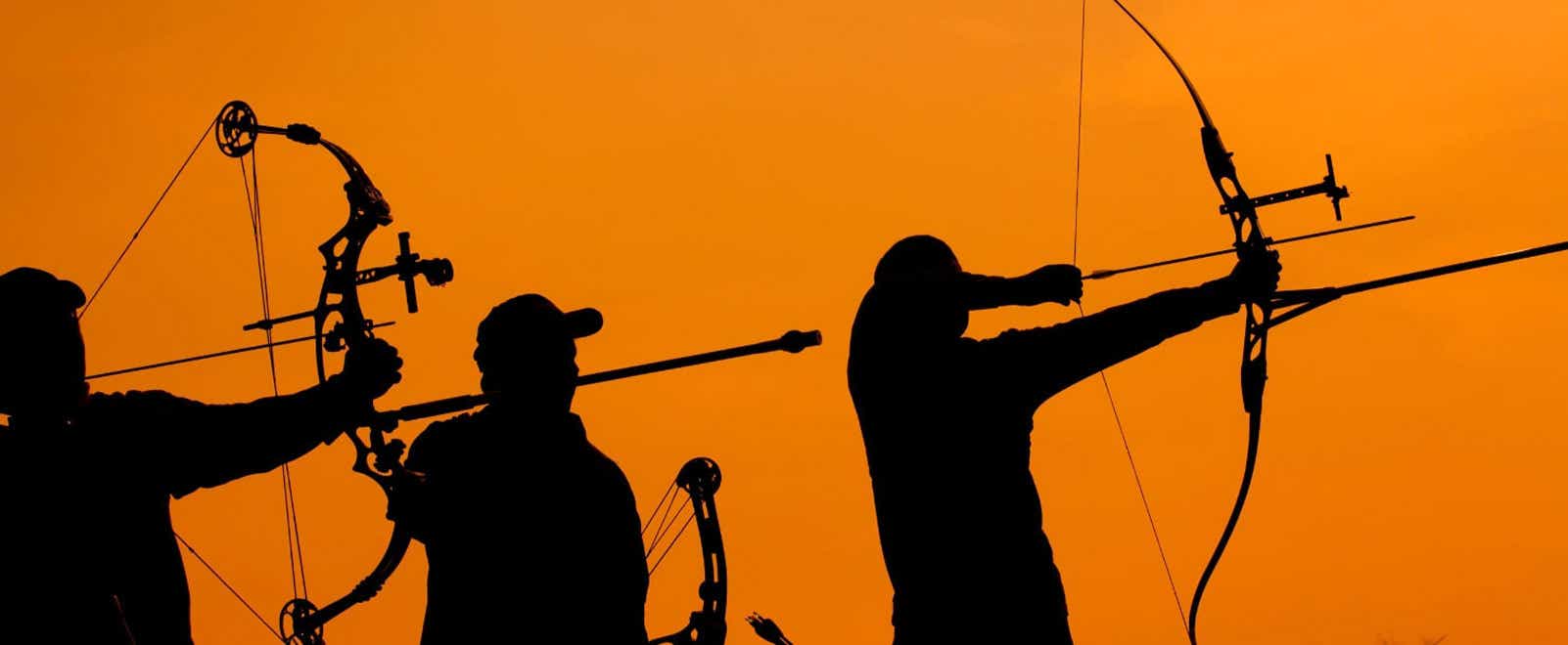 Recurve Bow Vs. Compound Bow