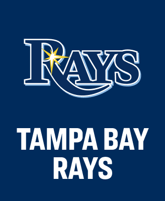 Tampa Bay Rays team banner featuring the Tampa Bay Rays wordmark logo on a navy blue background with the text Tampa Bay Rays.
