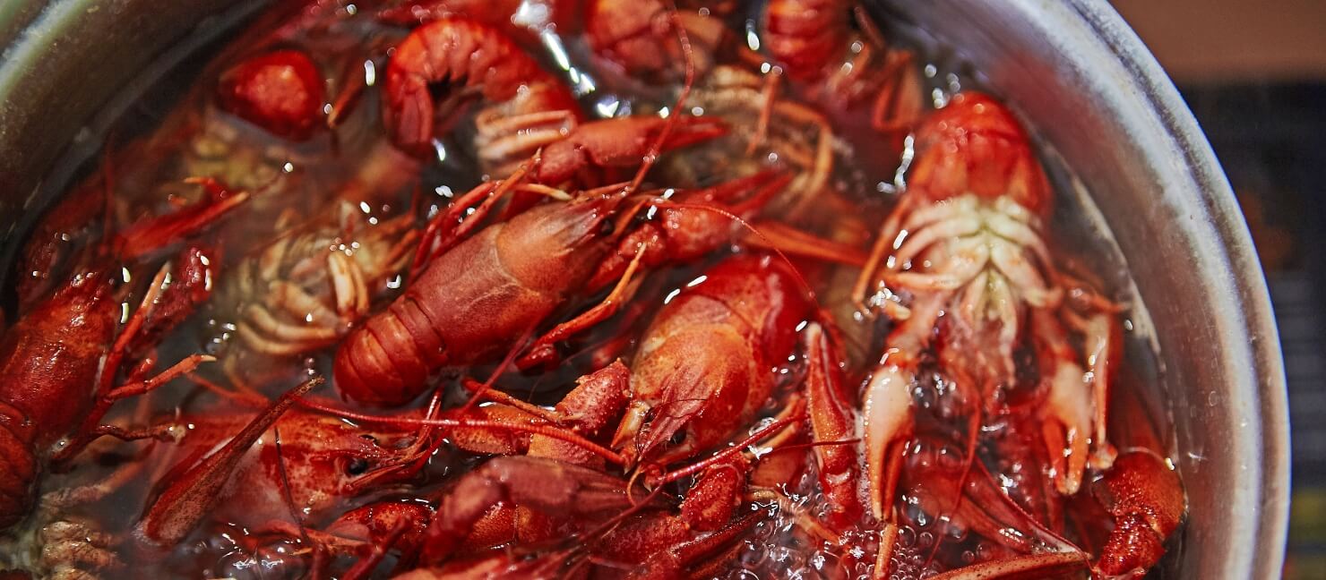 Astros Crawfish Boil: March 20, 2023 - The Crawfish Boxes